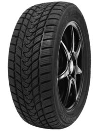 DELINTE Winter WD1 DELINTE Winter WD1