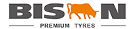 pneu poids lourd Bison