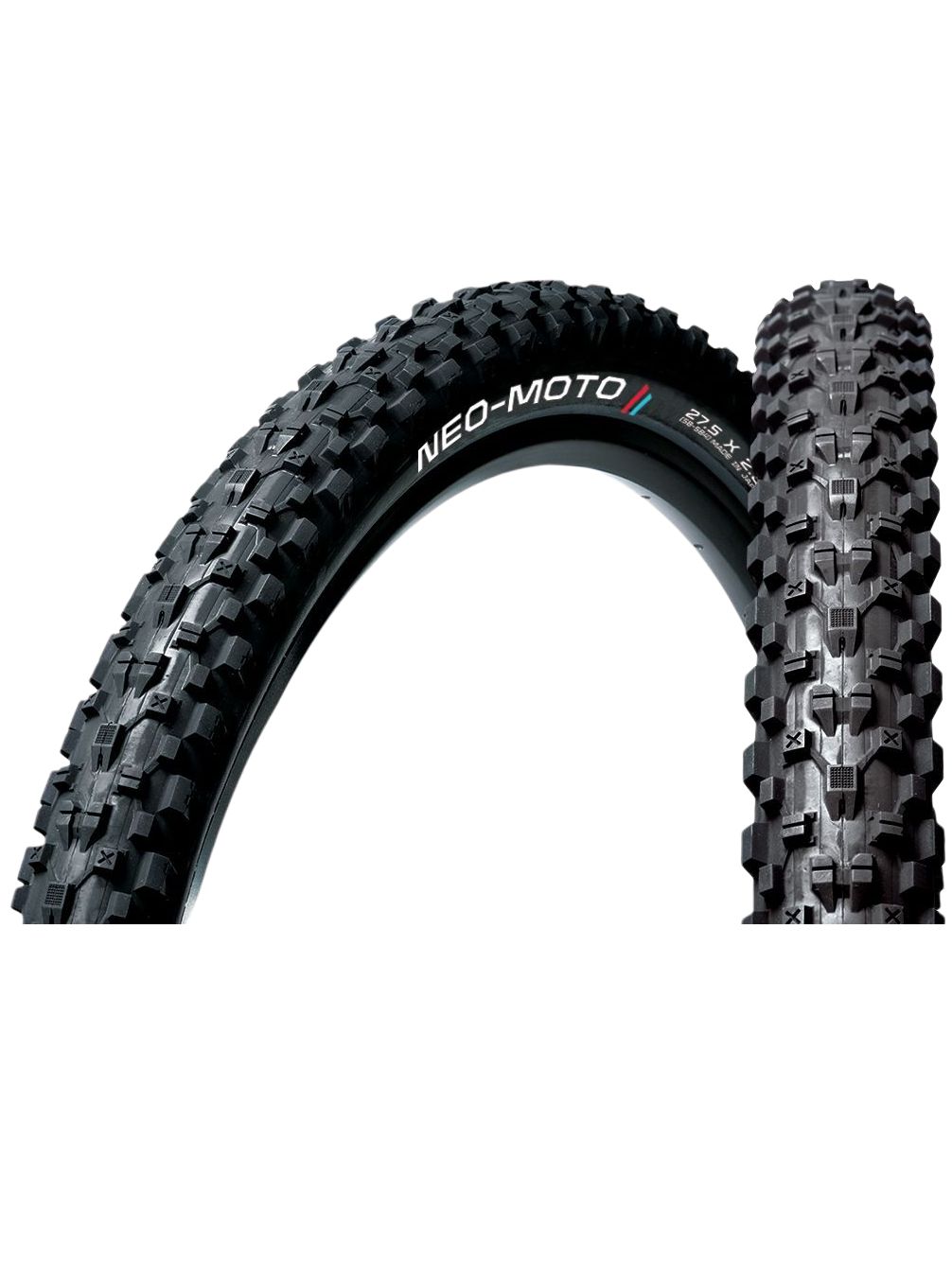 PANARACER Neo-Moto