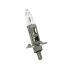 Ampoules