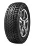Pneu DELINTE Winter WD1 - 1001PNEUS