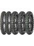 28179936-Terra Force-EF